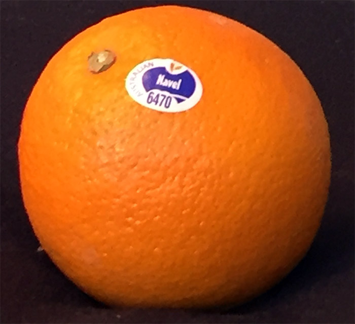 Australian Navel Orange