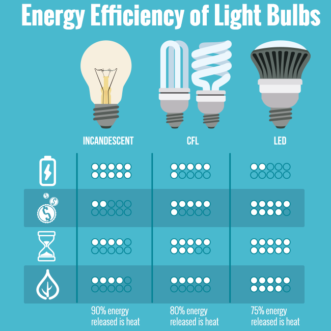 Energy Efficiency of Light Bulbs